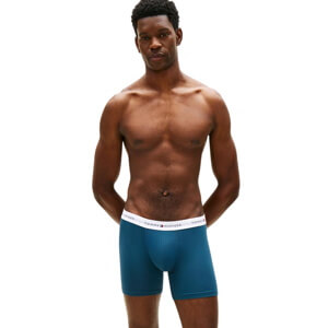 Tommy Hilfiger 3-Pack Essential Signature Logo Boxer Briefs
